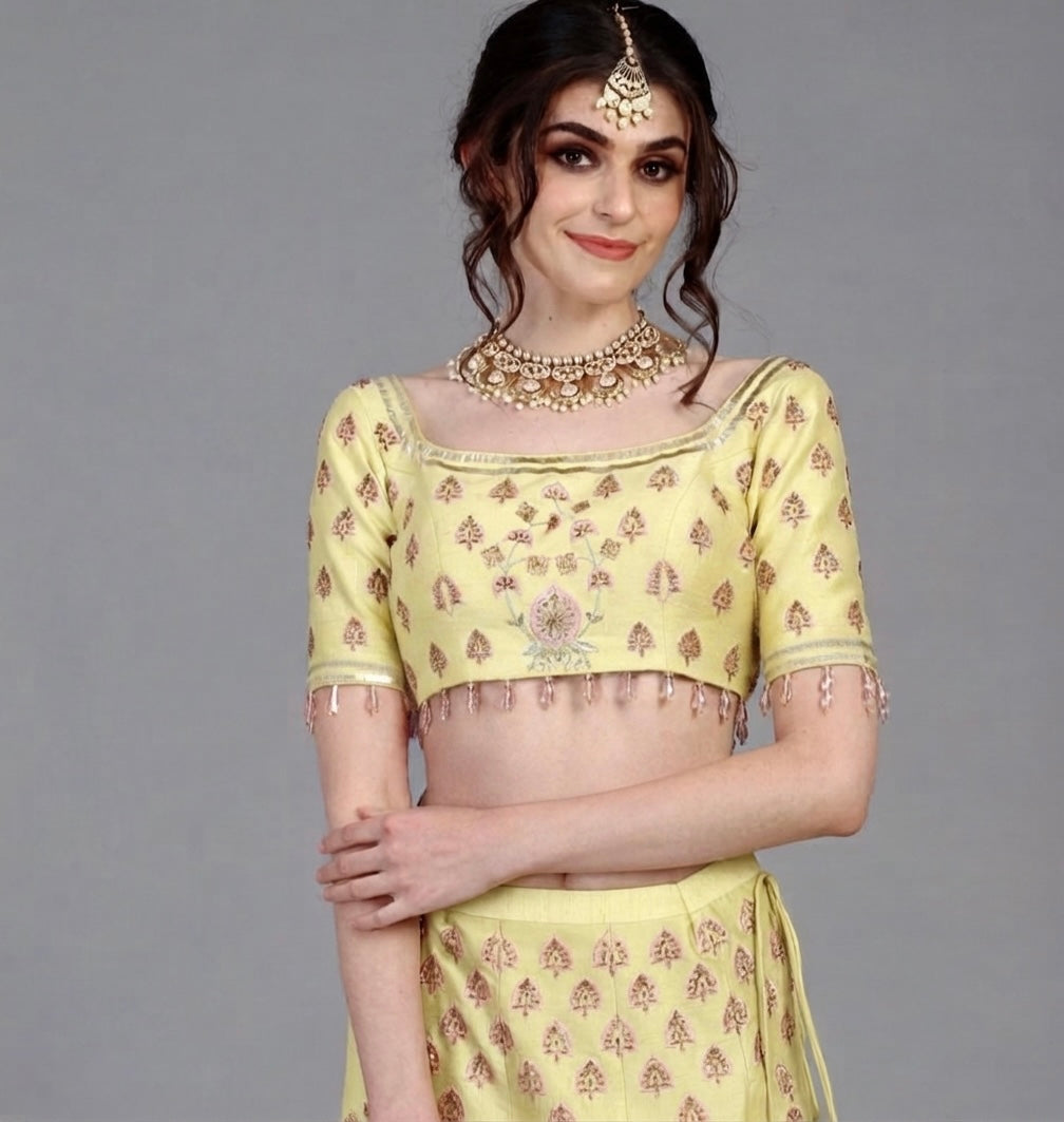 Hand Embroidered Lehenga